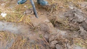 Поиск золота!! Как это бывает на самом деле!!