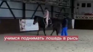 ПЕРВАЯ ТРЕНЕРОВКА ПО КОННОМУ СПОРТУ В КСК ИЗМАЙЛОВО .