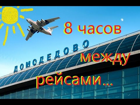 Аэропорт Домодедово. 8 часов между рейсами. Что там в подробностях