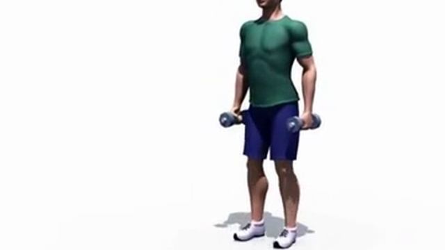 Правильное выполнение - Выпады (гантели) смотреть онлайн