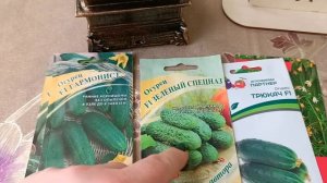 Теперь я буду сажать только «проверенные» сорта огурцов (гибридов) 5 фаворитов им не страшны болячк