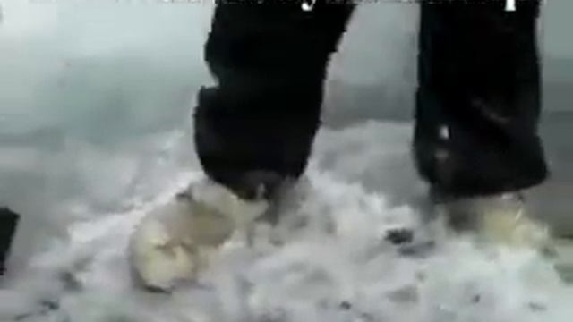 В Сибири найдены останки крушения НЛО смотреть онлайн