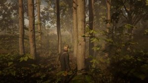 RDR 2 - Орхидея "Леди ночи"