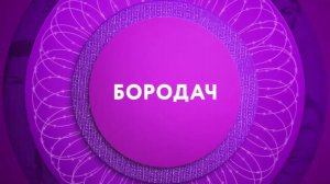 "Бородач" на ТНТ4!