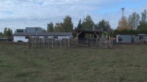 Фермерское хозяйство в деревне Зайцево