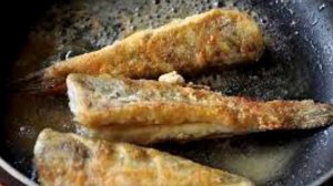 Рыба Нототения. Польза и использование