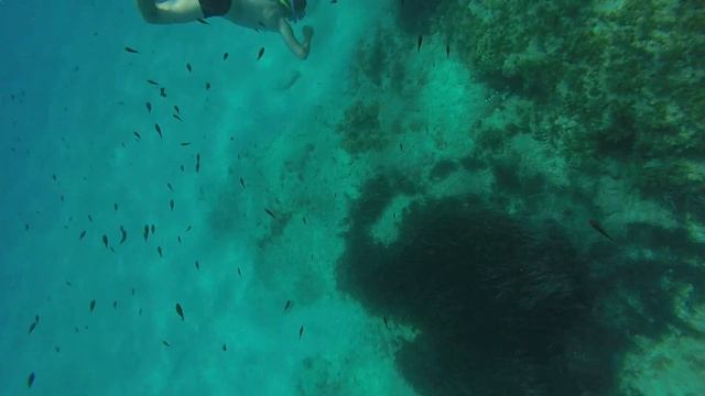 Стас наряет за ракушками смотреть онлайн