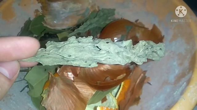 Витаминный отвар для кур несушек.