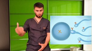 Чихел хамхобаги кунем, ки писар таваллуд шавад? Писар ё духтар таввалуд шудан аз ки вобастаги дорад