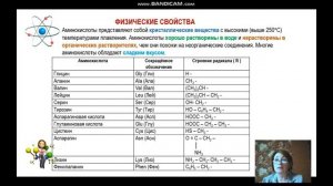 Видеоурок. Аминокислоты
