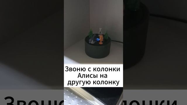 Звоню с колонки Алисы от яндекса!