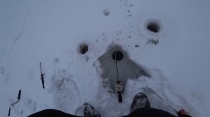 Зимняя рыбалка 2018.Охота на карася.Ловля на мормышку.