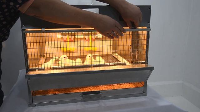 Брудер "Профессионал Ультра" 55-БР-1 от CrazyFerma. Лучшие брудеры России. Брудер для цыплят. смотреть онлайн