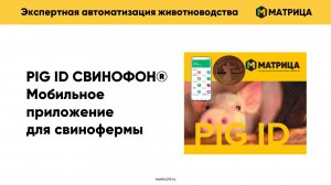 Мобильное приложение PIG ID СВИНОФОН®