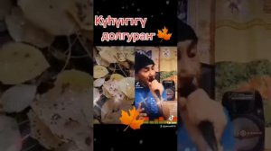 Күһүҥҥү долгураҥ. Сайа тыллара, Күннэй мелодията. Ыллыыр Геннадий Семенов