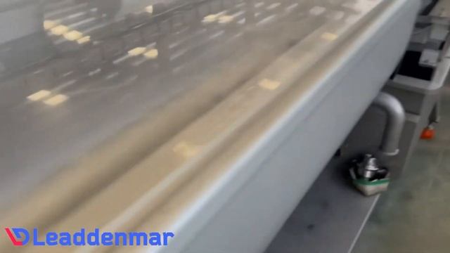 Линия для мойки салатов, легких овощей, фруктов, в составе Leaddenmar Pro VN | Обзор от профи
