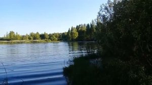 Лодка Муссон 2900 мотор Ветерок 8