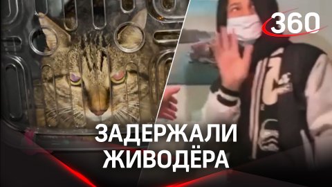 Живодёра, которому 12 лет, задержали в Москве. Видео издевательств он выкладывал в сеть
