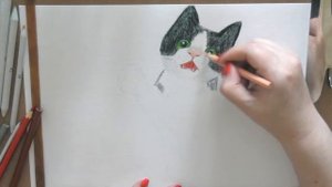 Как нарисовать котенка карандашами (мастер-класс)