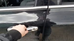 Доводчик стекол Sorento Prime