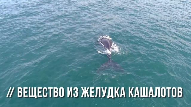 9 Самых Необычных Вещей, Найденных Выброшенными На Берег