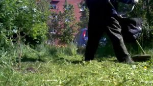 Покос травы триммер Stihl FS 130 Г.Петергоф.Д/у №1.