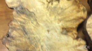 сосновый сувель .смолянистый сувель  с красивым узором