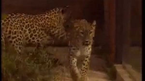 Прага Путешествия натуралиста