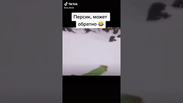 персик может обратно🤣😂