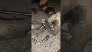 не заводится  Kia Spectra, полный разбор оживления #Kia #автоэлектрикдиагност #запускавто