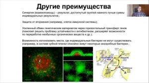 Лекция 7. Биофильмы.