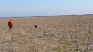 Натаска Дратхаара