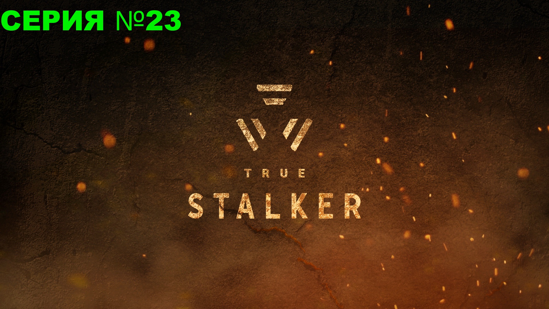 True stalker трейнер 20