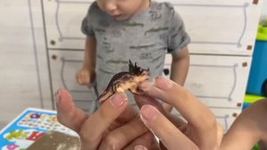НАХОДИМ ДИНОЗАВРОВ ИЗ ЯИЦ !!! РАСКОПКИ ДИНОЗАВРОВ !! КТО ПОПАДЁТСЯ ?🦖👍🏻