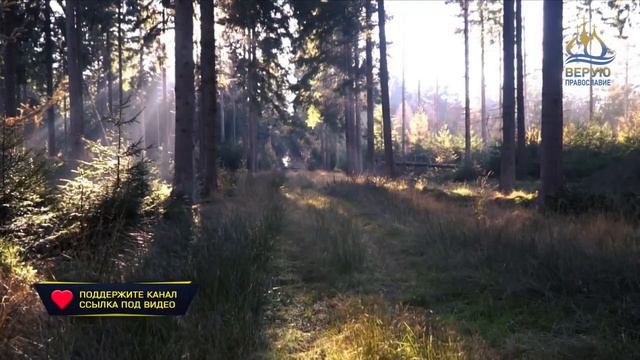 🔴 Это переживает каждая душа, ищущая спасения - Пр. Варсонофий Оптинский #Верую_Православие