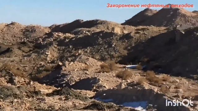 Технология с возможностью получения биодизеля и утилизации Видеоматериал АетовАУ
