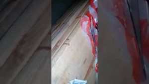 Синусит у индюка самая лудшая лечения