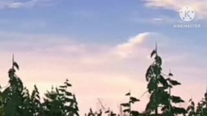 Ещё сцена для 2 серии Джиа переехала к Лунтику для @floranew811 и @user-pt7pu4db7p