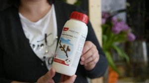 Весенние обработки сада от болезней и вредителей