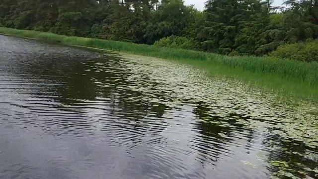 На озере. Первый раз на сапборде. смотреть онлайн
