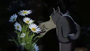 ПРИКОЛЬНОЕ ПОЗДРАВЛЕНИЕ С ДНЁМ РОЖДЕНИЯ   Смешное ,с юмором поздравление от волка      YouTube