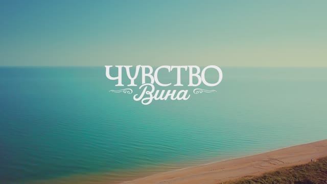 Чувство вина. Промо ролик