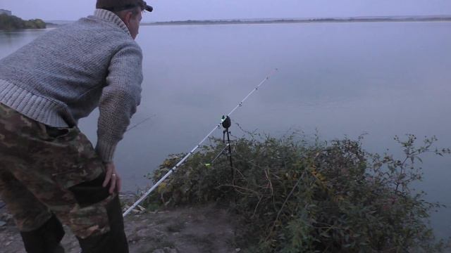 Ловим тиляпию смотреть онлайн