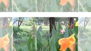 отдых в таиланде в августе