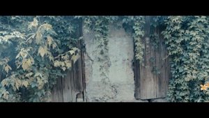 Canon 80d, Sigma 17-50 mm F/2.8 Video Test