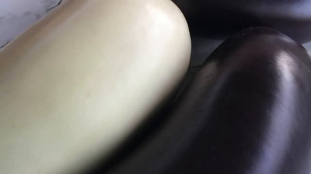 БАКЛАЖАНЫ ПОЛЕЗНЫ ПРИ ТАКИХ БОЛЕЗНЯХ смотреть онлайн