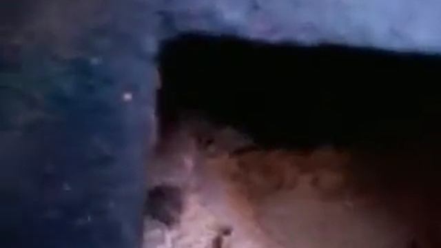 камера дожига без обдува воздухом смотреть онлайн