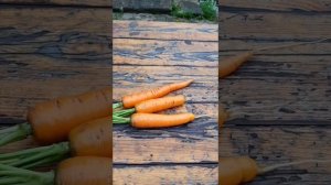 Вкусное пюре из брюквы