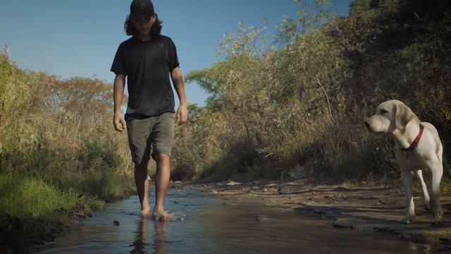 Fons plays "Blowing In The Wind" in a video by Erika Wallner. смотреть онлайн