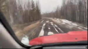 Весна в тайге